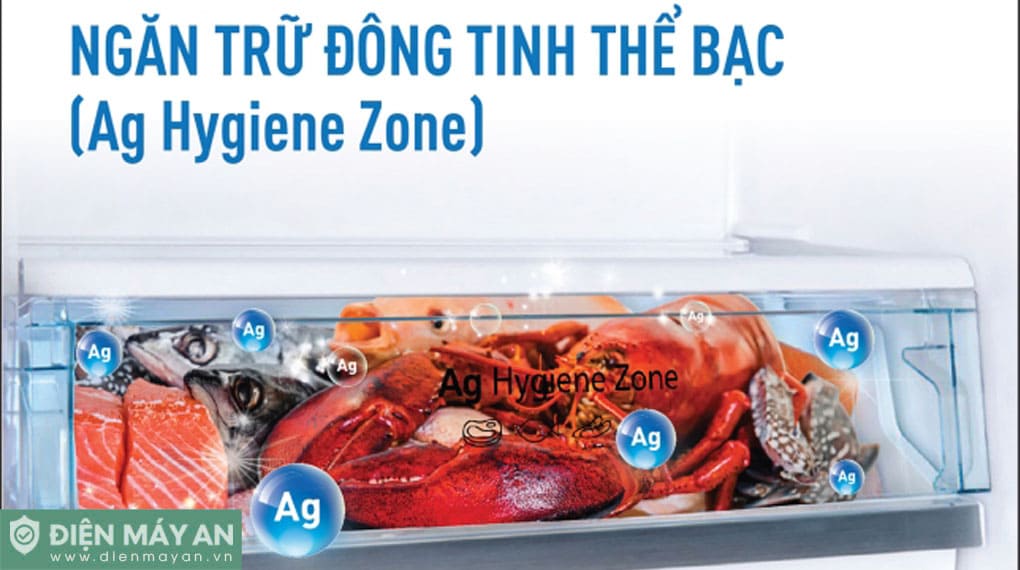 Tủ Lạnh Panasonic Inverter 268 Lít NR-TV301BPKV